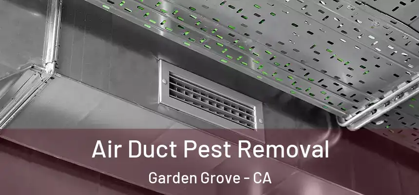 Air Duct Pest Removal Garden Grove - CA