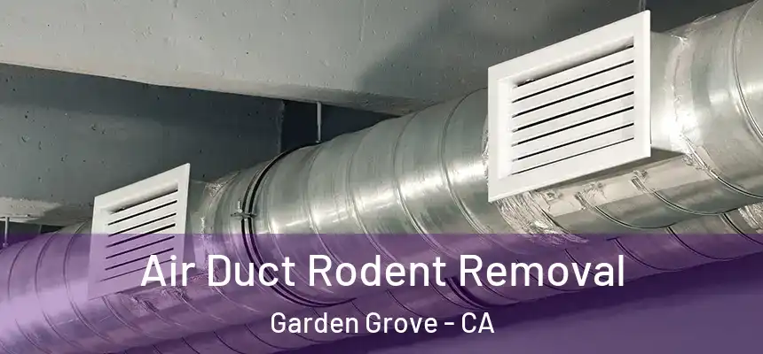 Air Duct Rodent Removal Garden Grove - CA