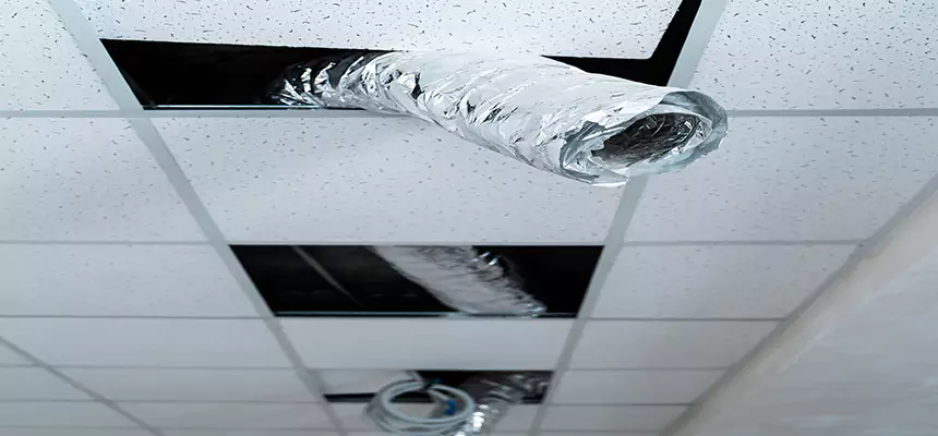 Affordable HVAC Sanitizing After Pest Removal in Garden Grove