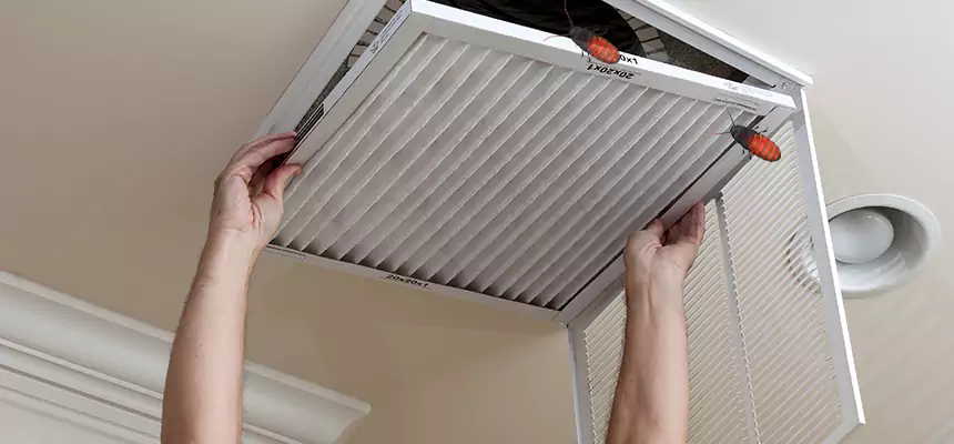 Our Insect Removal from Air Ducts Services in Garden Grove, CA
