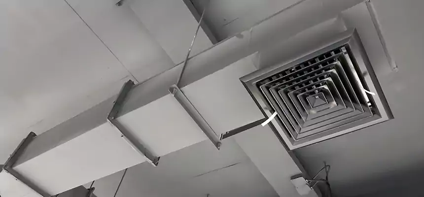 Our Rodent Droppings In Vents Services in Garden Grove, CA