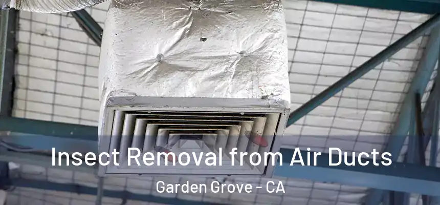Insect Removal from Air Ducts Garden Grove - CA