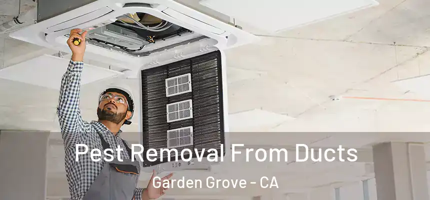 Pest Removal From Ducts Garden Grove - CA