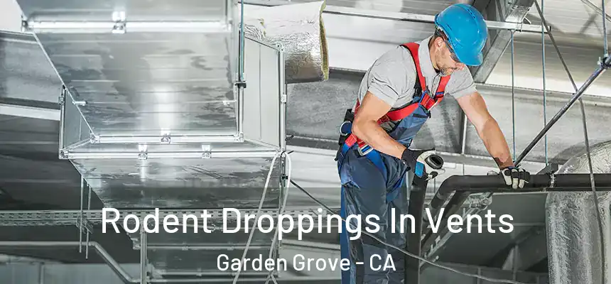 Rodent Droppings In Vents Garden Grove - CA