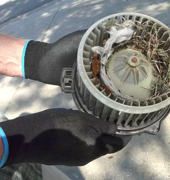 About Air Duct Mice Removal in Garden Grove, CA