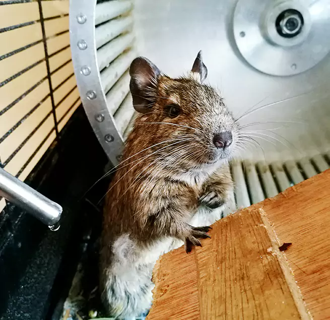 Why Homeowners & Businesses Trust Us Garden Grove, CA?